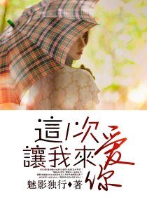 《這一次讓我來愛你》