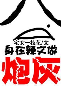 《身在辣文当炮灰/白莲花和黑莲花的战斗》