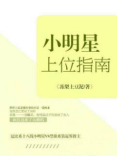 《小明星上位指南》