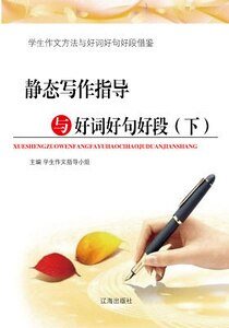 《静态写作指导与好词好句好段(下)精装》