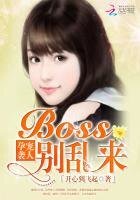 《孕寵襲人:BOSS,別亂來》