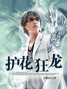 《護花狂龍》