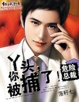 《危險總裁:丫頭你被捕了-星動煙火》
