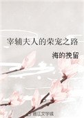 《宰輔夫人的榮寵之路》