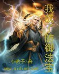 《我成了防禦法寶》