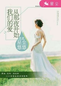 《我们的爱,从那夜开始》