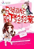《召喚萌妃:殿下輕輕寵》