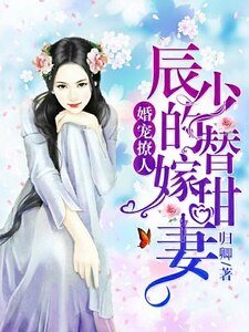 《婚寵撩人:辰少的替嫁甜妻》