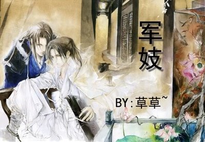 军妓/风似烟萝