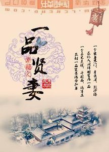 《穿越之一品賢妻》