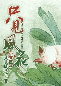 只见风花（女尊）