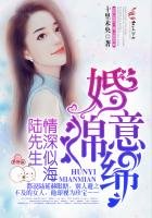 婚意綿綿，陸先生情深似海