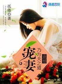 《盛婚:寵妻乃為夫之道》