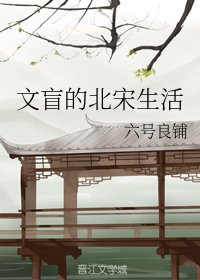 《文盲的北宋生活》