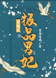 《穿越之極品男妃》