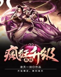 《瘋狂升級系統》