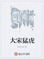 《大宋猛虎》