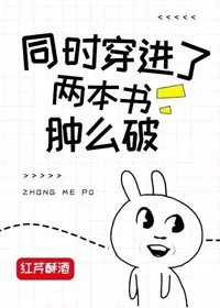 《同時穿進了兩本書腫麼破?》