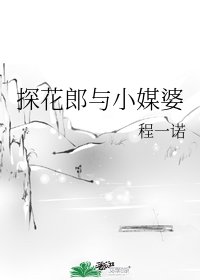 《探花郎與小媒婆》