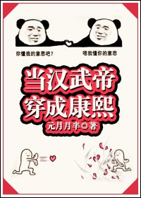 《當漢武帝穿成康熙(清穿)》