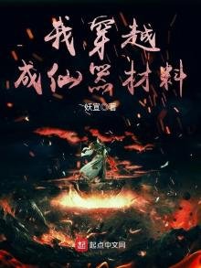 《我穿越成仙器材料》