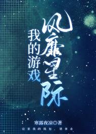《我的遊戲風靡星際》