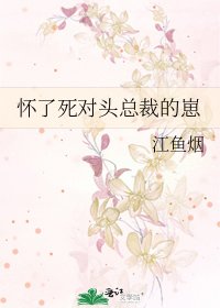 《懷了死對頭總裁的崽》