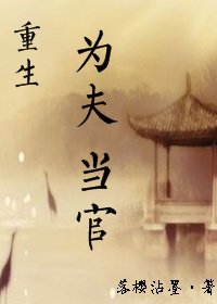 《(重生)為夫當官》