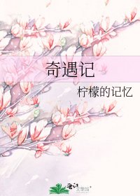 《奇遇记》