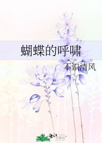 蝴蝶的呼啸