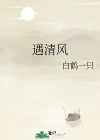 《遇清風》