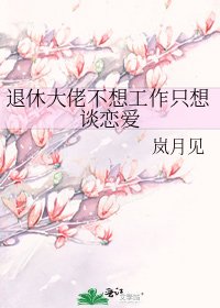 《退休大佬不想工作只想談戀愛》
