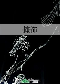 《掩飾》