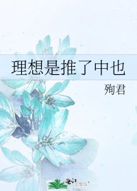 《理想是推了中也》