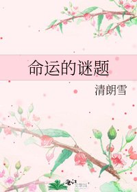 《命運的謎題》