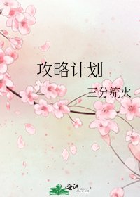 《攻略计划》