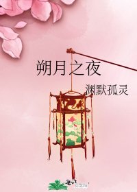 《朔月之夜》