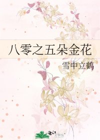 《八零之五朵金花》