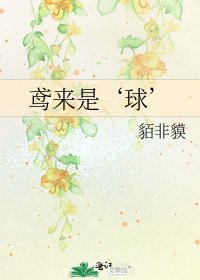 鳶來是‘球’