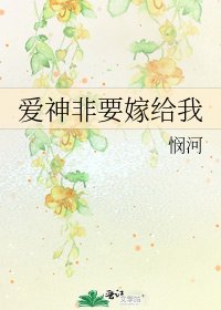 《爱神非要嫁给我》