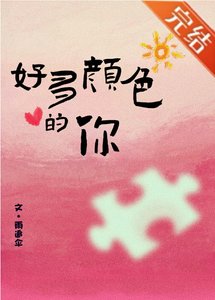 《一幅拼圖畫》