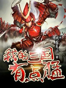 《我的三國有點猛》