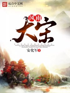 《风雨大宋》
