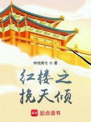 《紅樓之挽天傾》