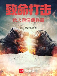 《致命打擊:槍火遊俠傭兵路》