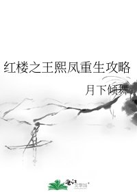 《紅樓之王熙鳳重生攻略》