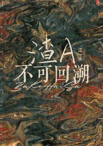 《不可回溯》