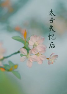 《丞相夫人失憶後》