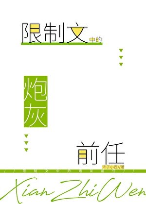 《限制文中的炮灰前任》