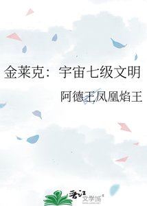 《金萊克:宇宙七級文明》